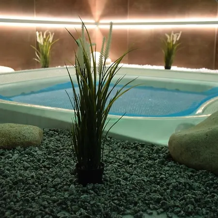 Anna & Wellness Hotel Nejdek