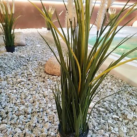 Hotel Anna Spa&wellness Nejdek