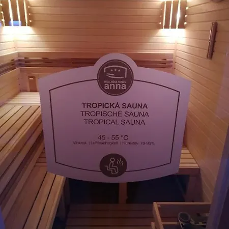 Hotel Anna & Wellness Nejdek