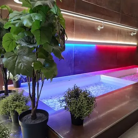 Anna & Wellness Hotel Nejdek