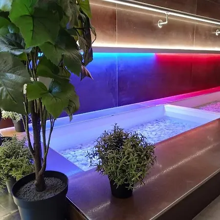 Hotel Anna & Wellness Nejdek