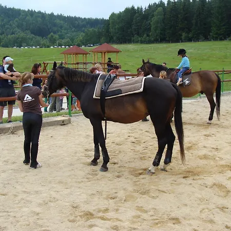 Anna & Wellness 3* Nejdek